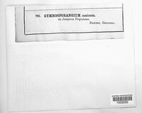 Image Associated With the Occurence
